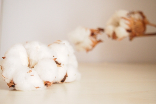 0348400dc6b0536752cc856a0706151f_t