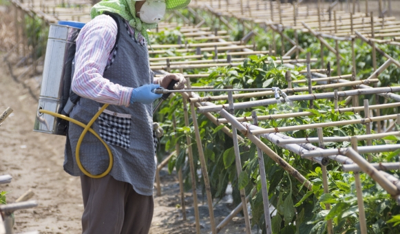 4870597167919a31e60abbf12680a0e5_t