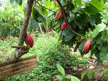 59d05c2af58b336a4ab1db50c9d70514_t