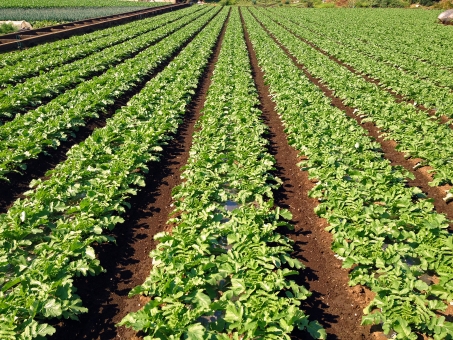 7e3fa054cdee70b62e5e4cf714754256_t