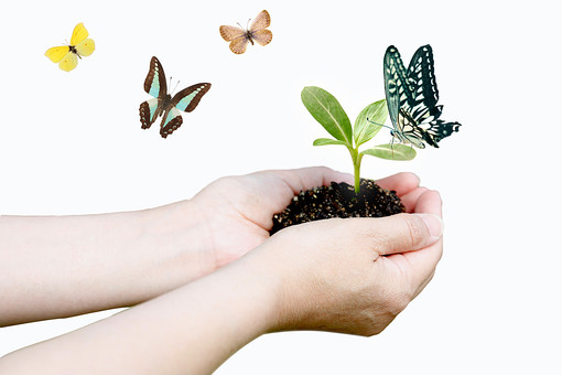 86ffd3833b8fbf2c62ddc27be944b29e_t