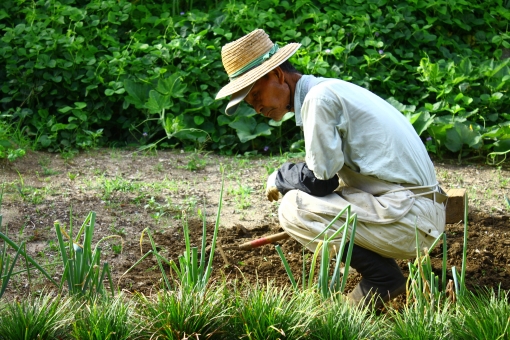 9a65ac211693f3a28cd4181486a8a816_t