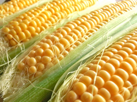 b77cd34465d6a3ddaa640e3fe0641aa5_t